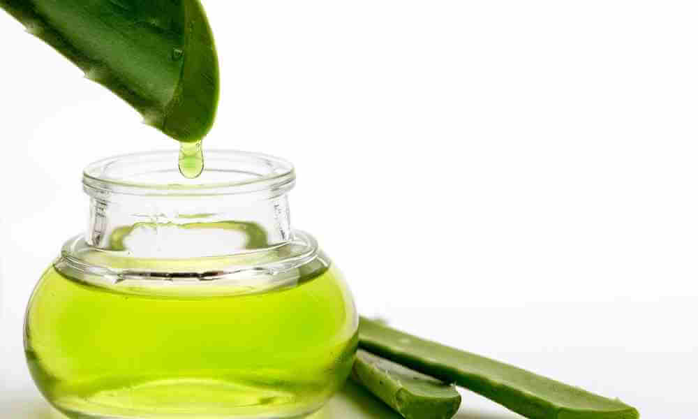 عصير الصبار الدافئ