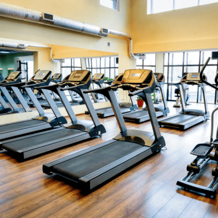 treadmills in gym